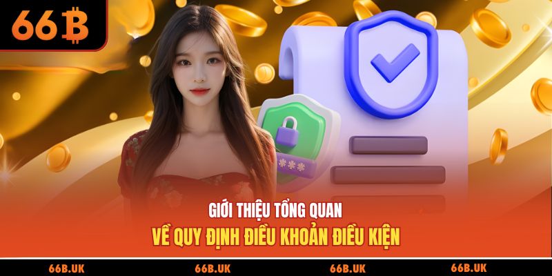 Giới thiệu tổng quan về quy định điều khoản điều kiện