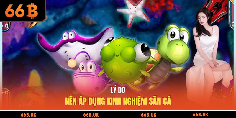 Lý do nên áp dụng kinh nghiệm săn cá