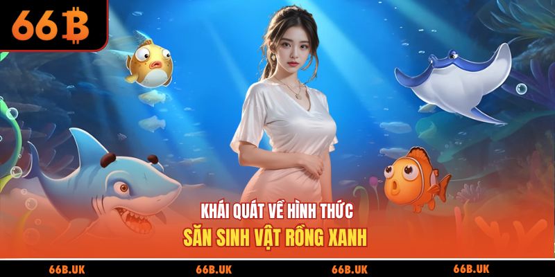 Khái quát về hình thức săn sinh vật rồng xanh 